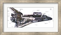 Framed Illustration of an Orbiter cutaway view of a Space Shuttle