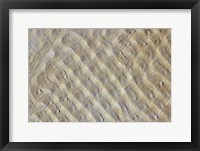 Framed Sand dunes in the Fachi-Bilma erg (sand sea) in the Central-Eastern part of the Tenere Desert