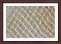 Framed Sand dunes in the Fachi-Bilma erg (sand sea) in the Central-Eastern part of the Tenere Desert