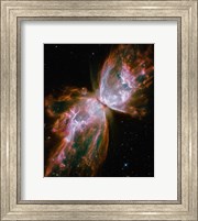 Framed Butterfly Nebula
