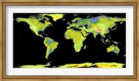 Framed Digital Elevation Model of the Continents on Earth