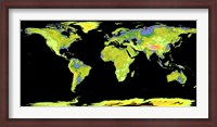 Framed Digital Elevation Model of the Continents on Earth