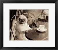 Framed Cafe Pug