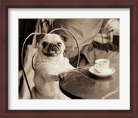 Framed Cafe Pug