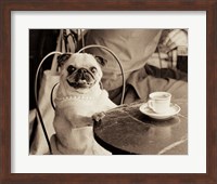 Framed Cafe Pug