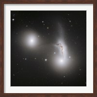 Framed Cluster of Interacting Galaxies