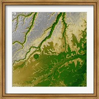 Framed Bolivian Amazon