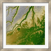 Framed Bolivian Amazon
