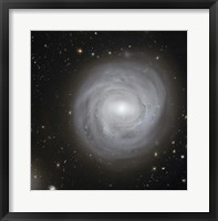 Framed Spiral Galaxy NGC 4921