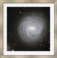 Framed Spiral Galaxy NGC 4921