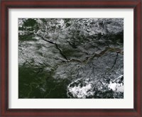 Framed Brazilian Amazon River