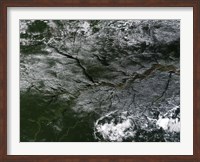 Framed Brazilian Amazon River