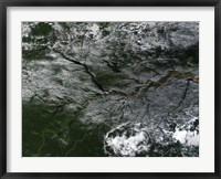 Framed Brazilian Amazon River