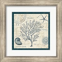 Framed 'Ocean Life IV' border=