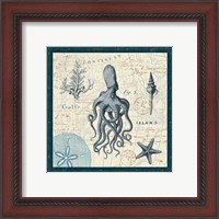 Framed 'Ocean Life VII' border=