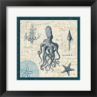 Ocean Life VII Framed Print