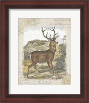 Framed 'Woodland Stag I' border=