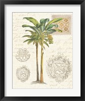 Framed 'Vintage Palm Study I' border=