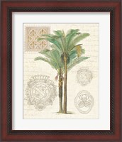 Framed 'Vintage Palm Study II' border=