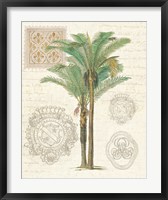 Framed Vintage Palm Study II
