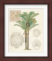 Framed 'Vintage Palm Study II' border=