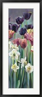 Grape Tulips Panel II Framed Print