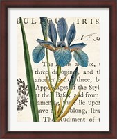 Framed Iris Letter