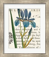 Framed Iris Letter