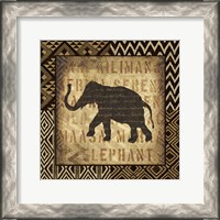 Framed African Wild Elephant Border