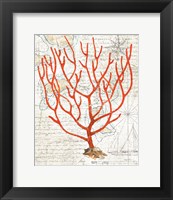 Framed Textured Coral I