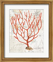 Framed Textured Coral I