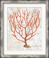 Framed 'Textured Coral I' border=