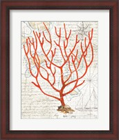 Framed Textured Coral I