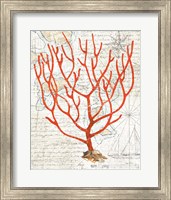 Framed Textured Coral I