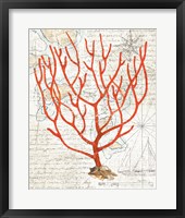 Framed 'Textured Coral I' border=