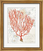 Framed Textured Coral IV