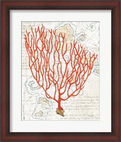 Framed Textured Coral IV