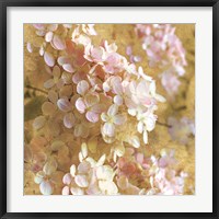 Framed Gilded Hydrangea I