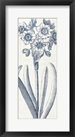 Eden I  Indigo and White Framed Print