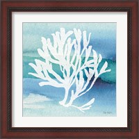 Framed 'Sea Life Coral I' border=