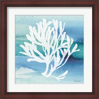 Framed Sea Life Coral I