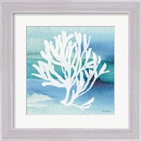 Framed 'Sea Life Coral I' border=