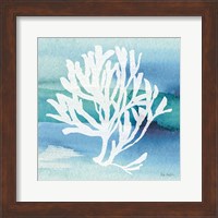 Framed Sea Life Coral I