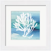 Framed 'Sea Life Coral I' border=