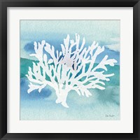 Framed 'Sea Life Coral II' border=