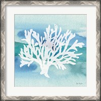 Framed Sea Life Coral II