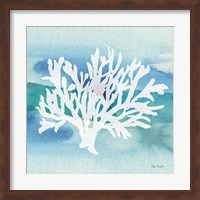 Framed Sea Life Coral II