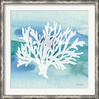 Framed Sea Life Coral II