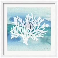 Framed Sea Life Coral II