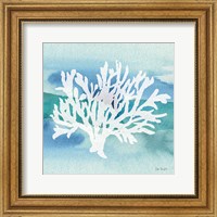 Framed Sea Life Coral II